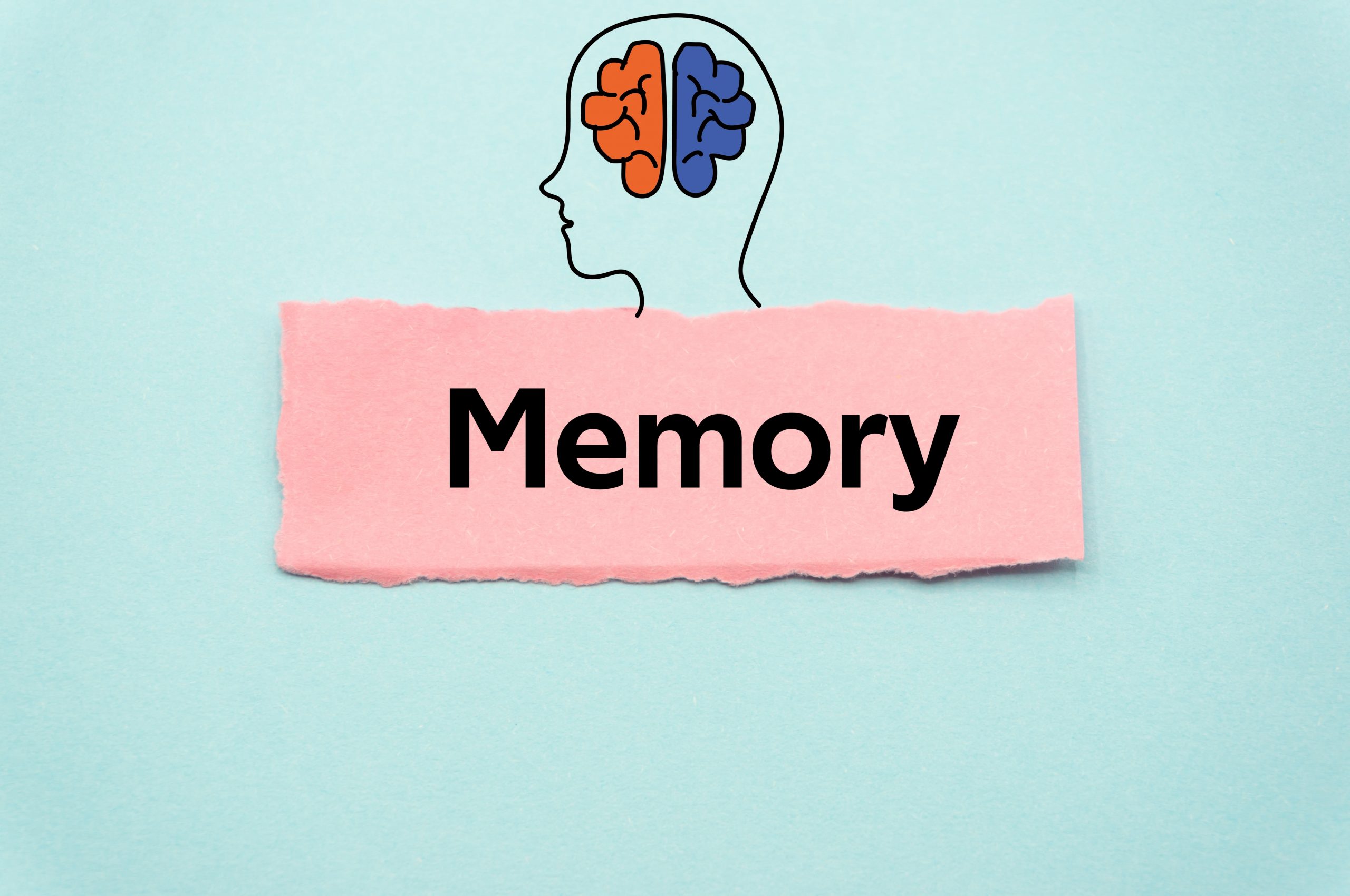 Tips for Improving Memory Retention and Recall